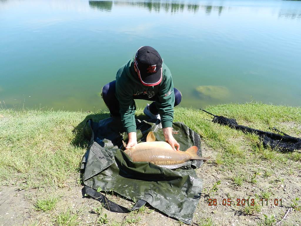 carpfishing 26-05-20013